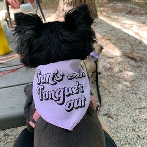 Meet your Posher, Suzette